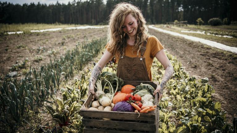 Woman gathering vegetables in field