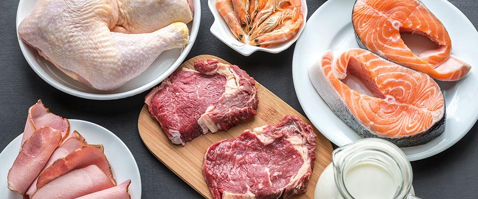 Assorted dishes of protein sources