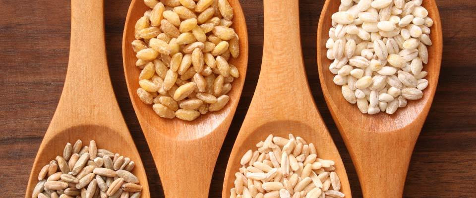 Assorted grains in wooden serving spoons