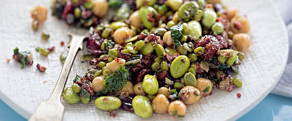 Plate of beans, red quinoa, black rice, cranberries, and kale
