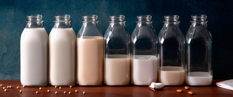Bottles of non-dairy plant-based milk side-by-side