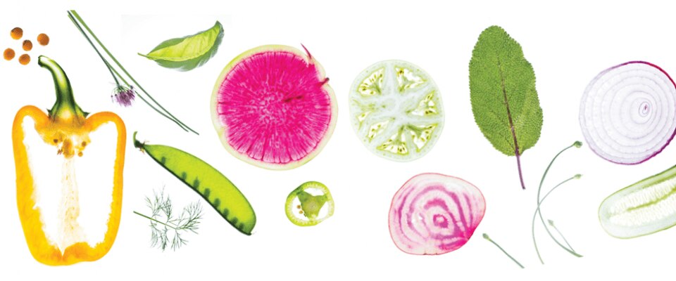 nutripro more plants million new veg