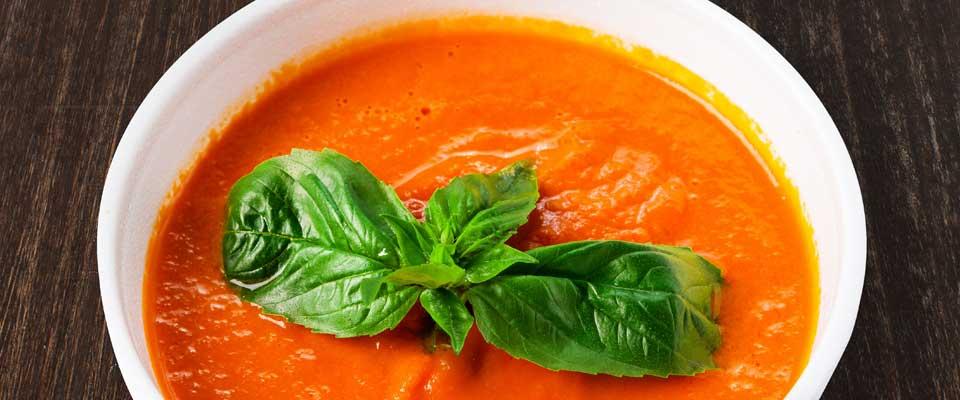 Cup of gazpacho soup