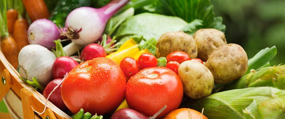 Basket of fresh vegetables in season