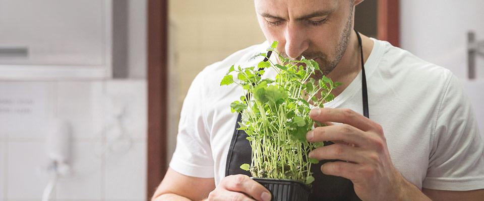 Chef smelling fresh plant aroma