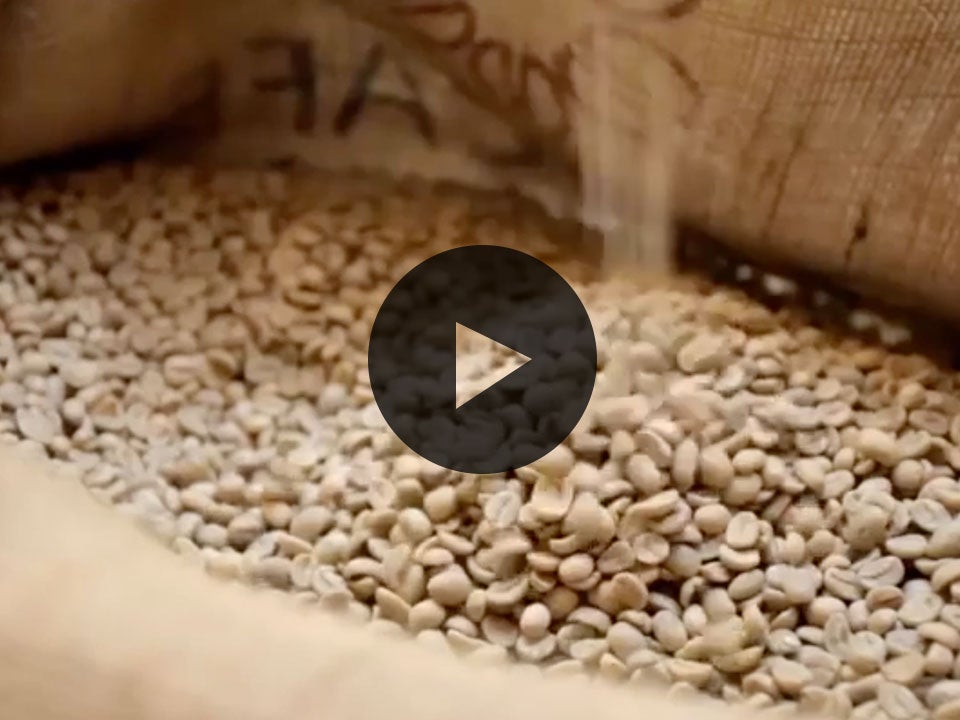 beyond the bean video