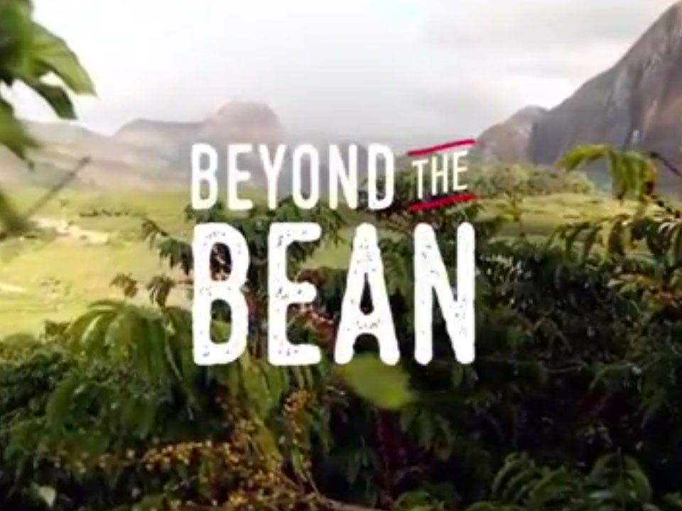 beyond the bean thumb nestle pro