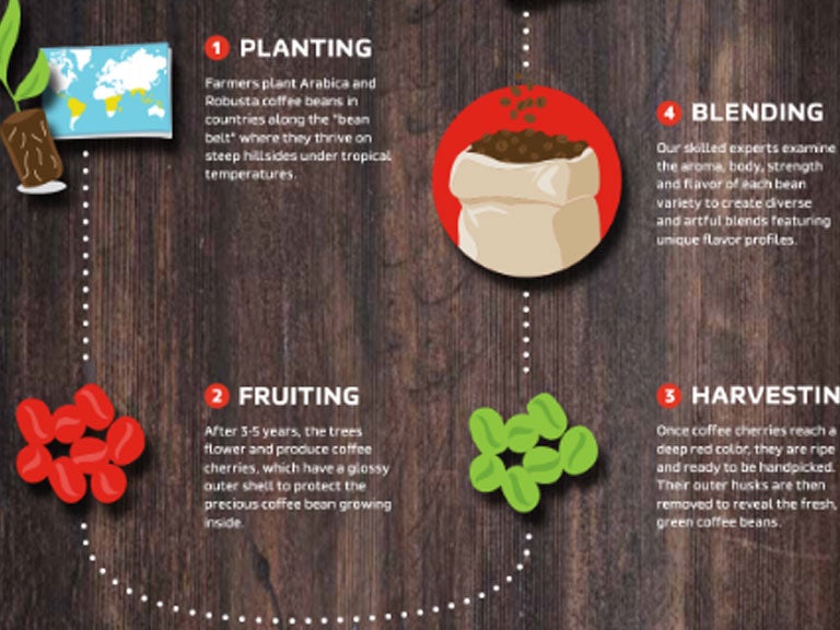 coffee infographic