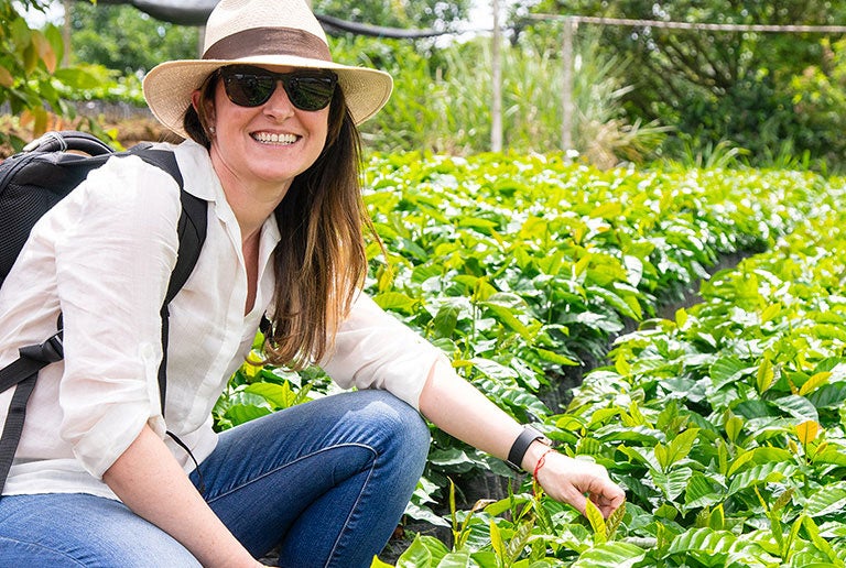 How coffee beans are grown