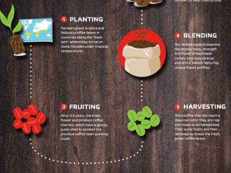 NESCAFE coffee infographic