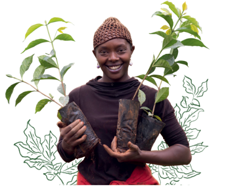 coffee farmer holding plants