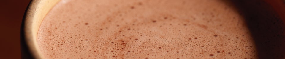 hot-coca-header-nestle-pro-food-service-960x200