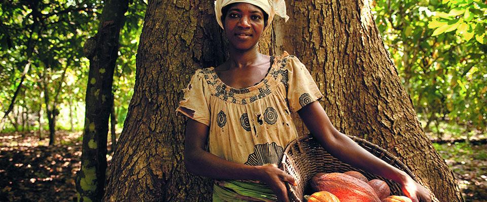 Social Responsibility in Coca Farming