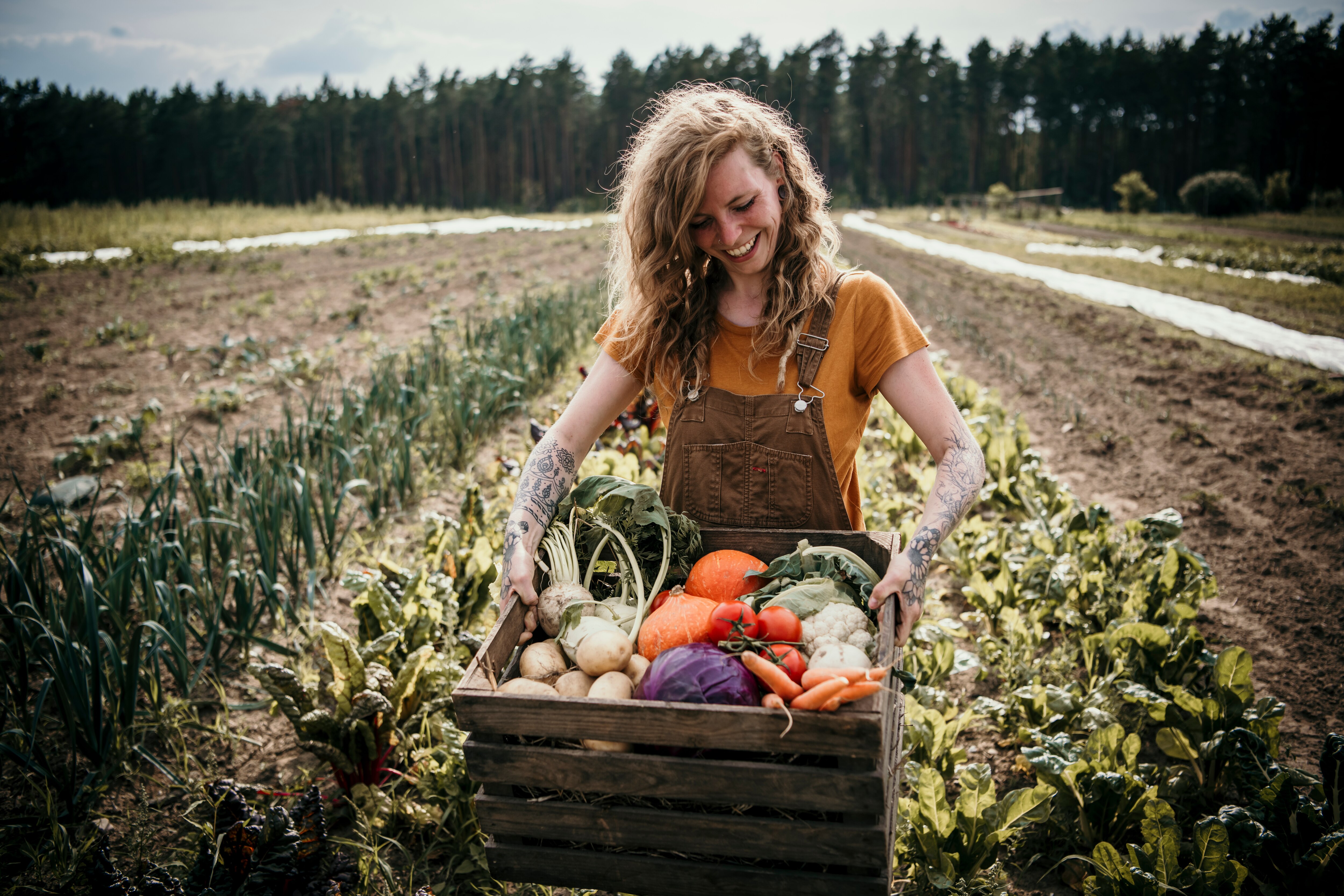 Woman gathering vegetables in field