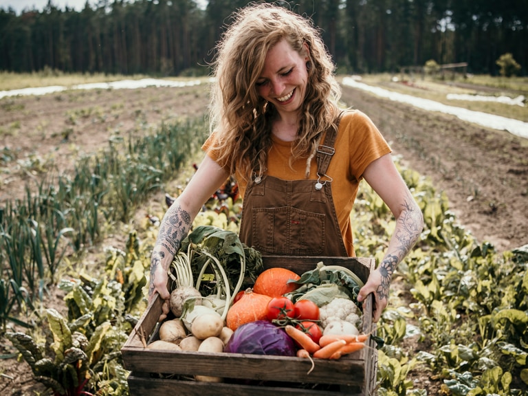 Woman harvesting from farm holding basket with vegetables
