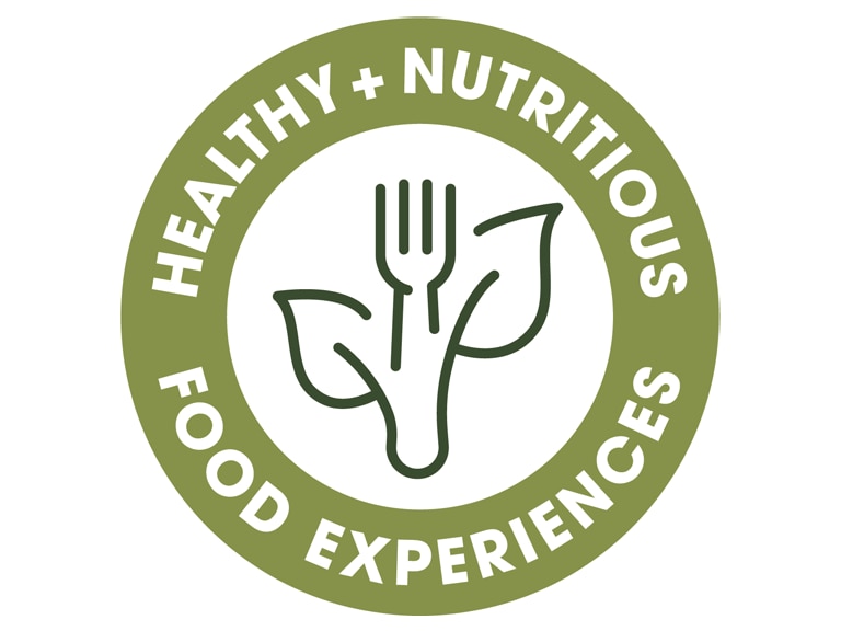 Healthy Nutritious Food Experience icon