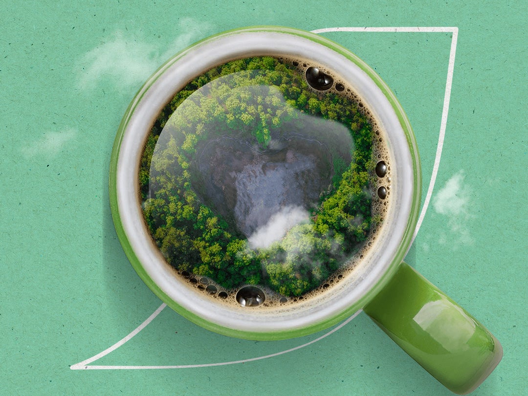 nescafe sustainability overview of coffee in cup