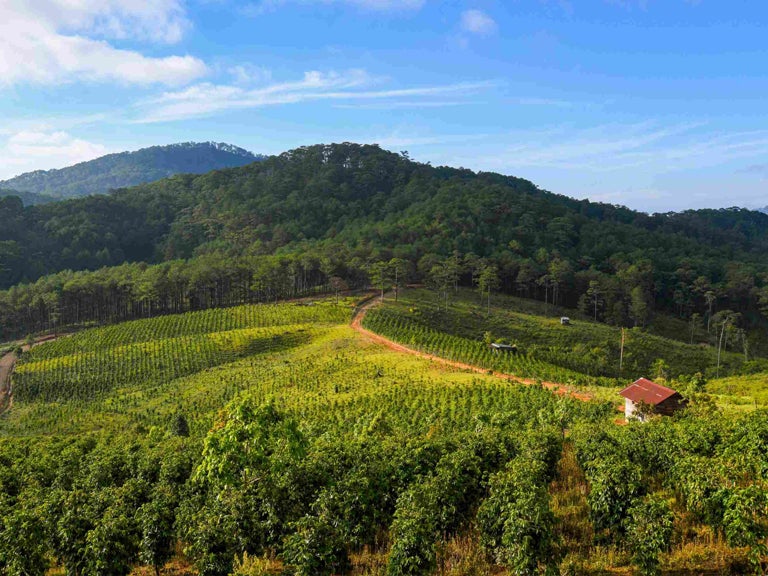 view of greenery mountains and sky