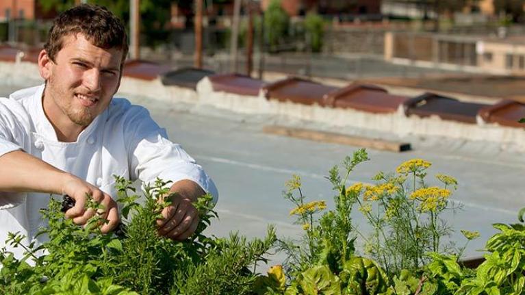 Chef working in urban garden