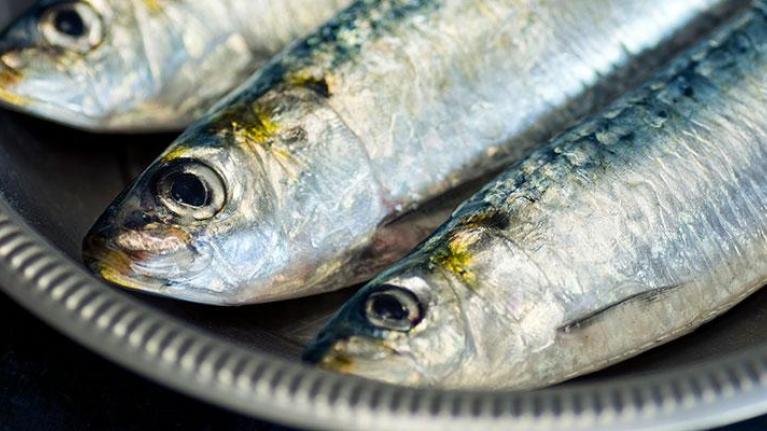 Whole sardines in a metal bowl