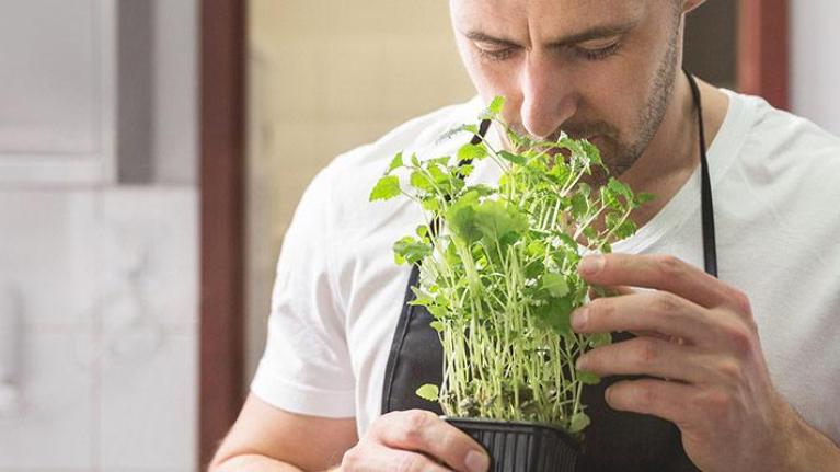 Chef smelling fresh plant aroma