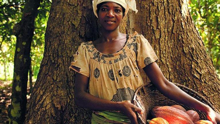 Social Responsibility in Coca Farming