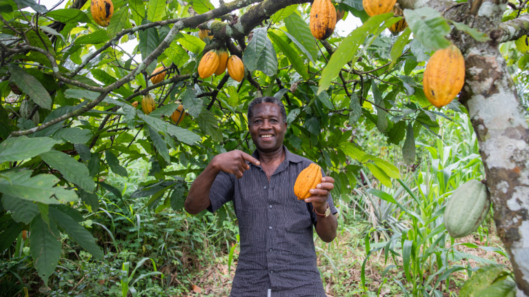 Cocoa Farmer in a field