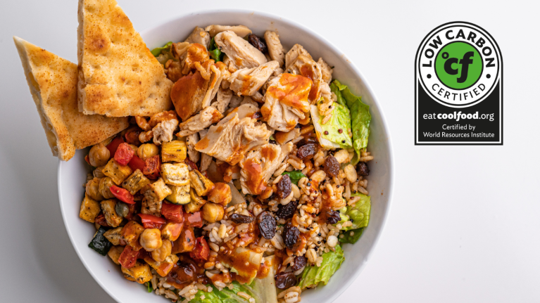 cool food plate with pita chips chicken and greens