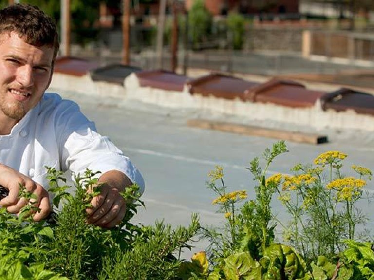 Chef working in urban garden