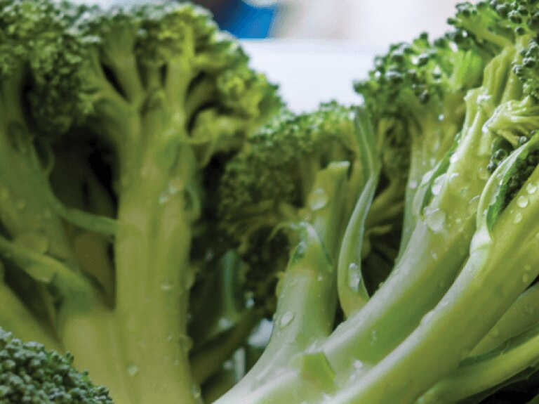 Broccoli