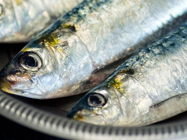 Whole sardines in a metal bowl