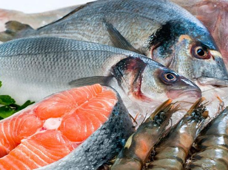 Assortment of fresh seafood on ice