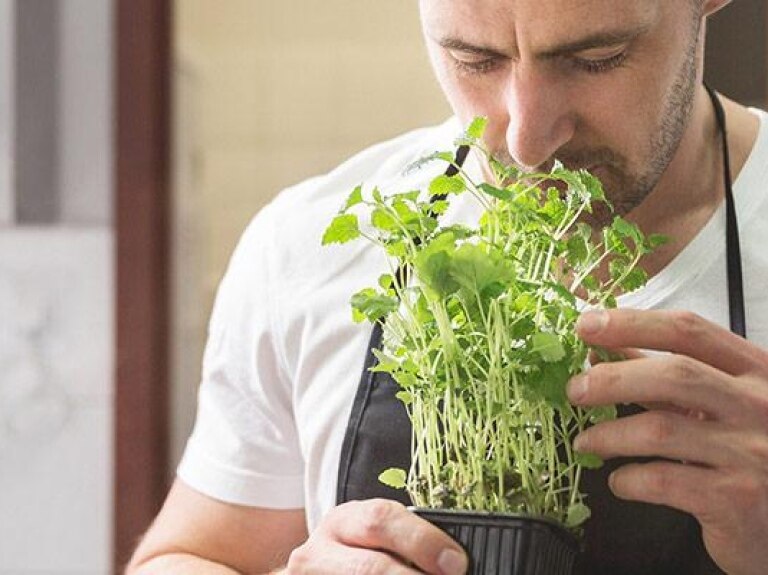 Chef smelling fresh plant aroma