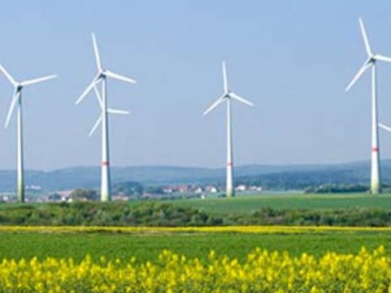 Sustainability and Nutrition