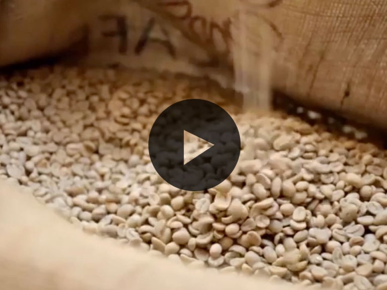 beyond the bean video