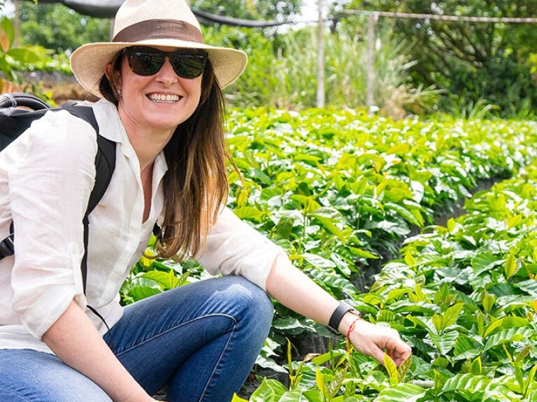 How coffee beans are grown