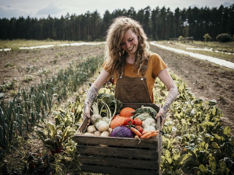 Woman gathering vegetables in field