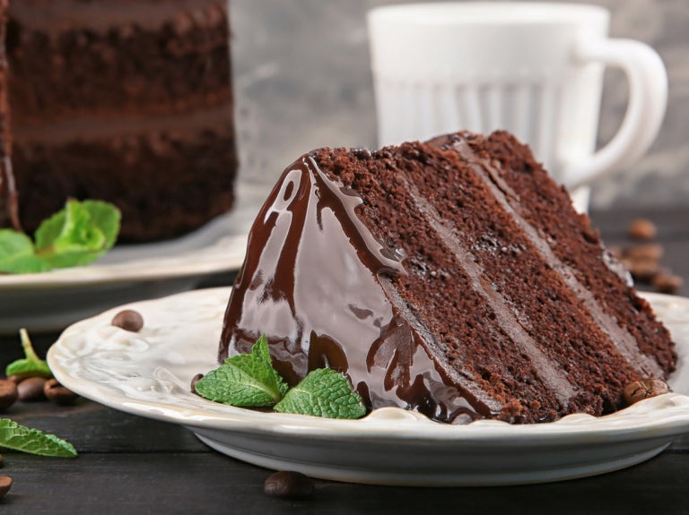 Slice of chocolate cake with mint