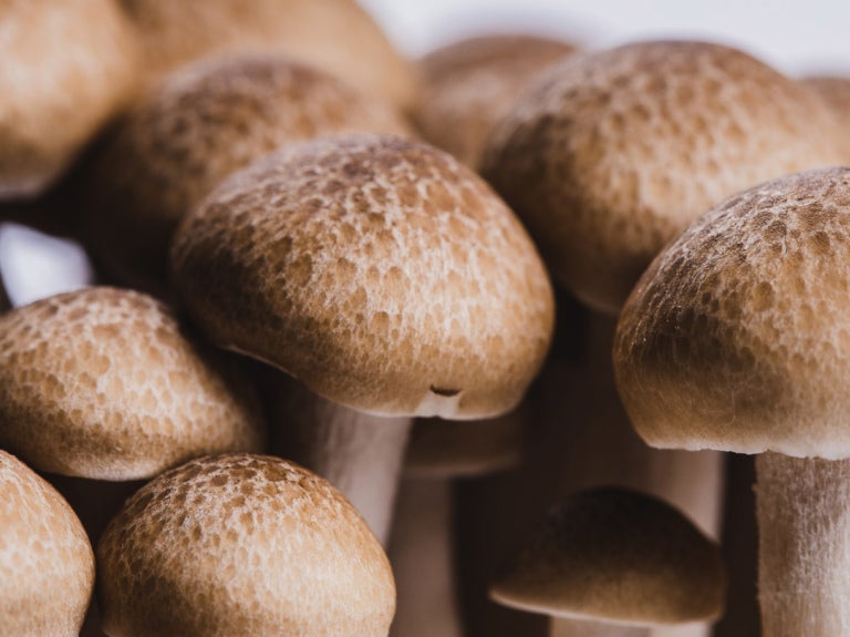 Mushrooms