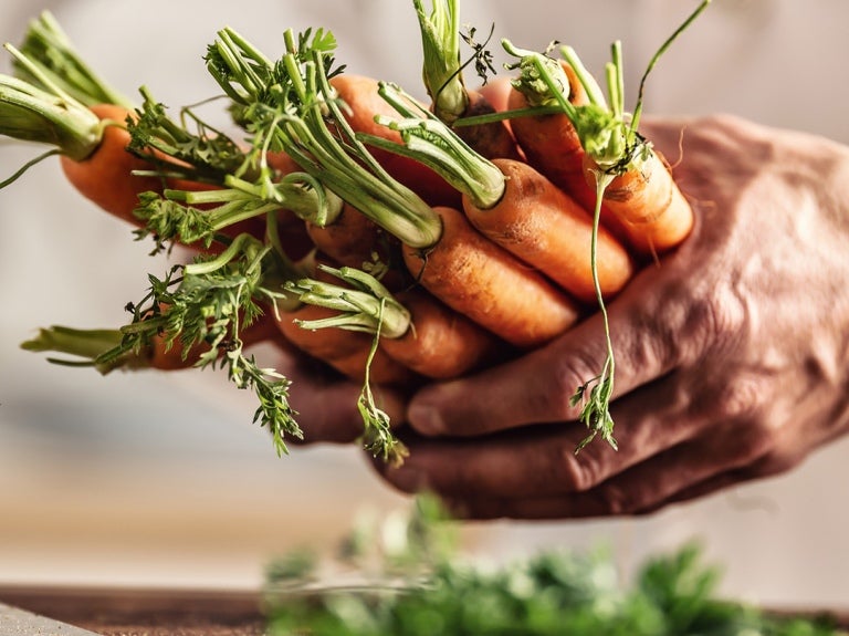 Man holding carrots in his hands