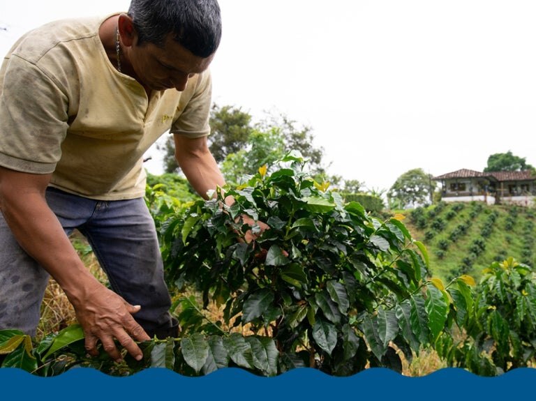 Sustainability image with blue border