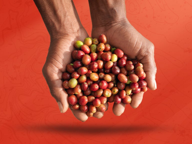 Sustainable coffee farmers