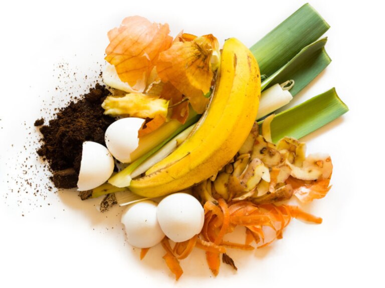 upcycling fruits and vegetables