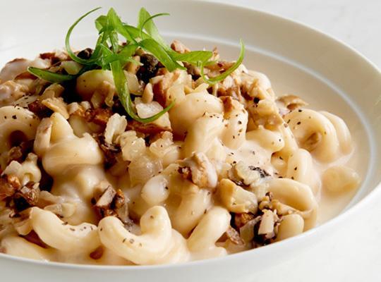 Wild Mushroom and White Cheddar Pasta