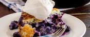 Plate of blueberry cobbler with ice cream