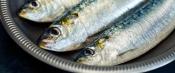 Whole sardines in a metal bowl